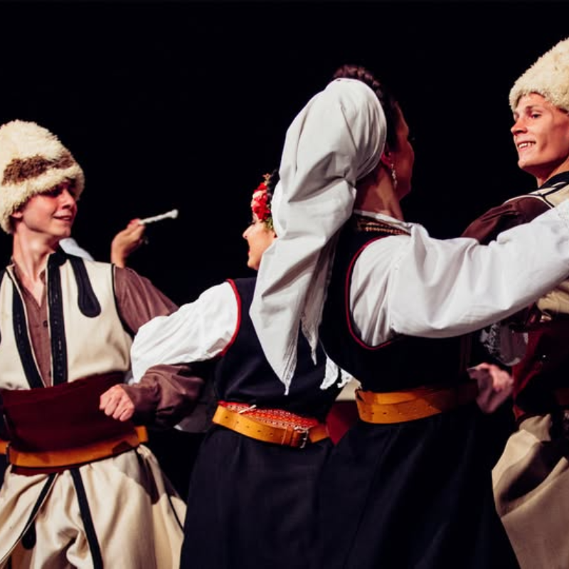 Концерт фолклора АФА Светозар Марковић у понедељак